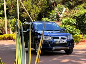 Suzuki Escudo 2009 Blue