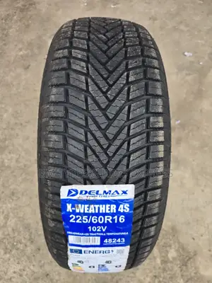 225 /60 R16 Delmax Tires