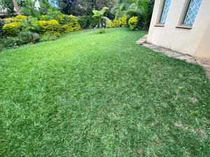 4bdrm House in Villa For Rent, Muthangari for rent