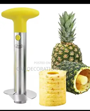 Manual Pineapple Piller