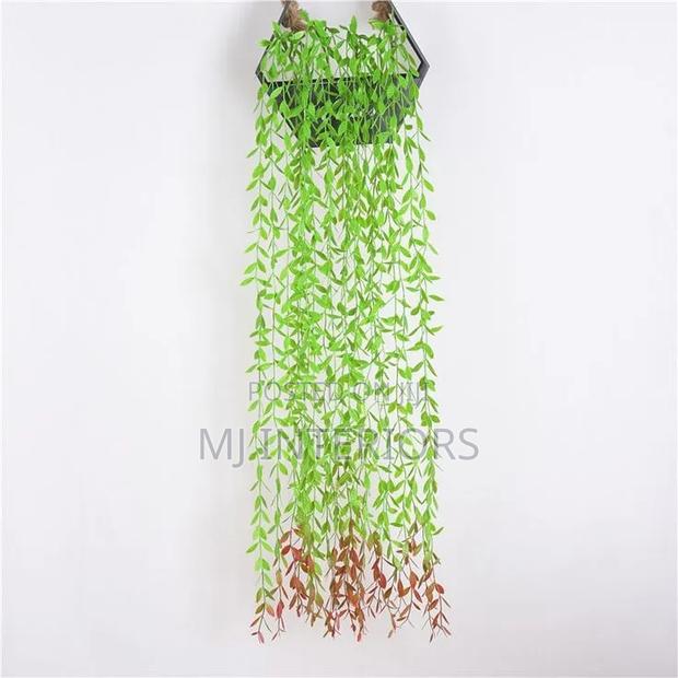 Balcony Hanging Vines