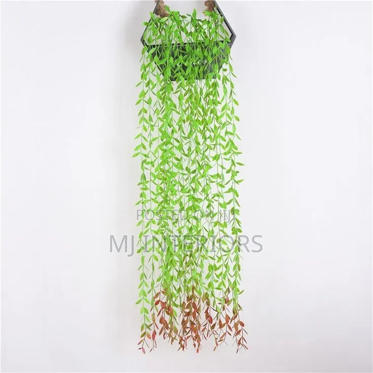 Balcony Hanging Vines