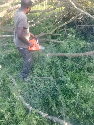 Tree Service