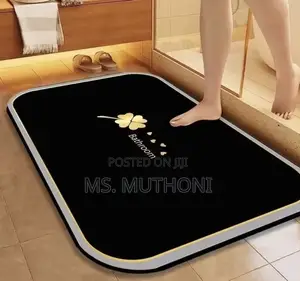 Bathroom or Doorway Absorbent Mat (40*60 )