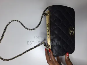 Chanel Mini Flap Designer Bag