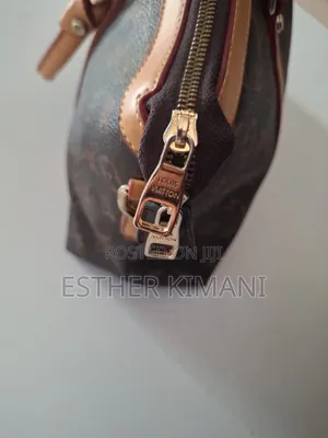 Louis Vuitton Monogram Soufflot Mm Bag