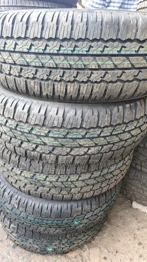 265/65r17 Brigestone Duela