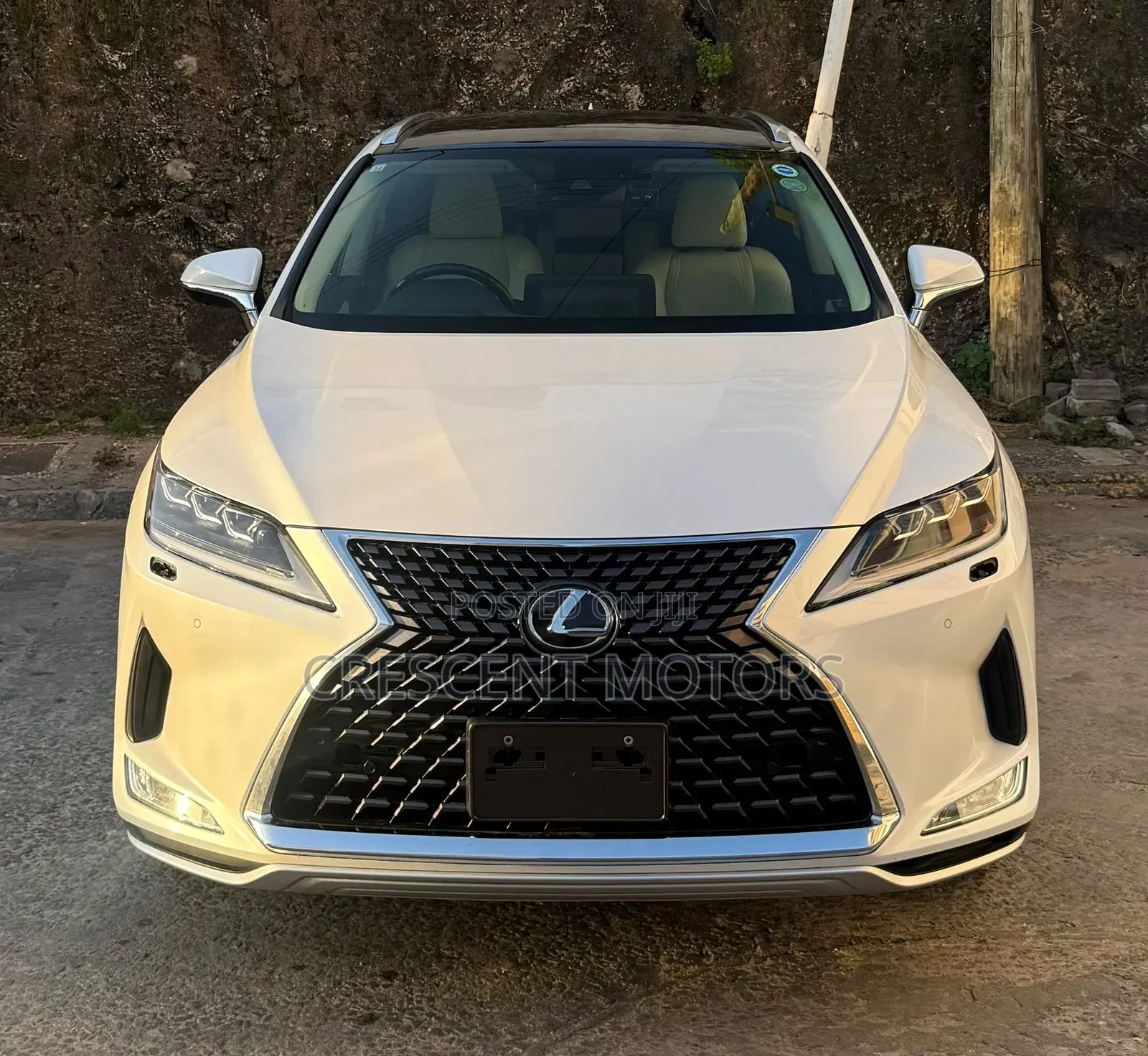 Lexus RX 2020 White