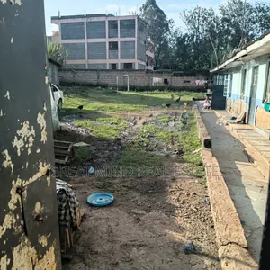Prime Plot on Sale