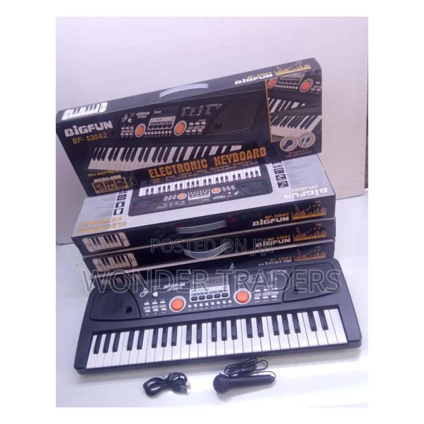 49 Keys Piano With Microphone and Charging Cable
/Piano Keyboard