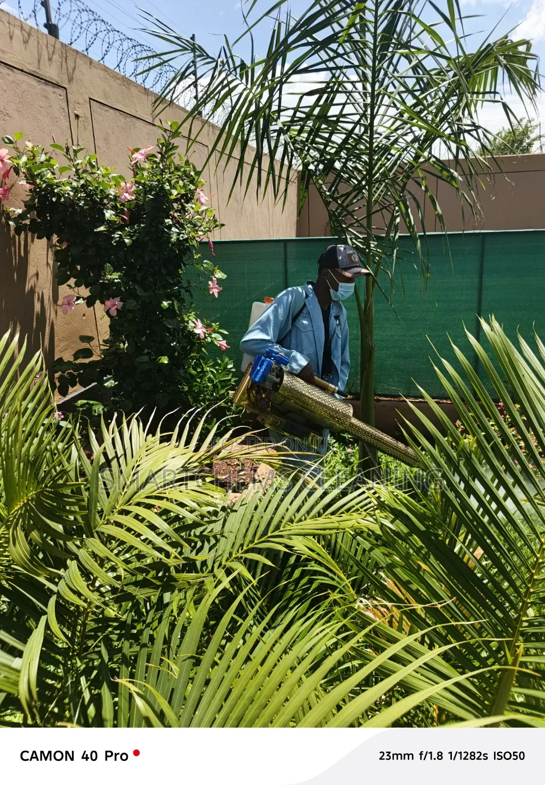 Mosquitoes Thermal Fumigation
