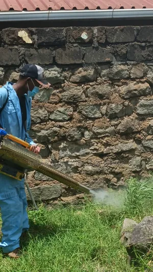 Mosquitoes Thermal Fumigation