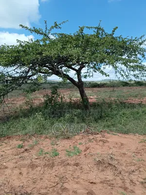 Plot for Sale