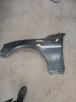 Front Fender Mark X 2010