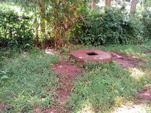 Maragwa (Kaharo)