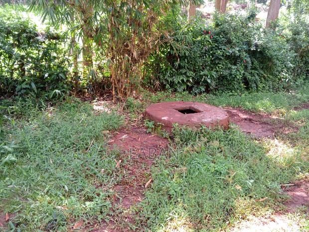 Maragwa (Kaharo) - thumbnail 4