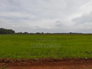 1⁄4 Acre Prime Gated Community Plots in Kitale