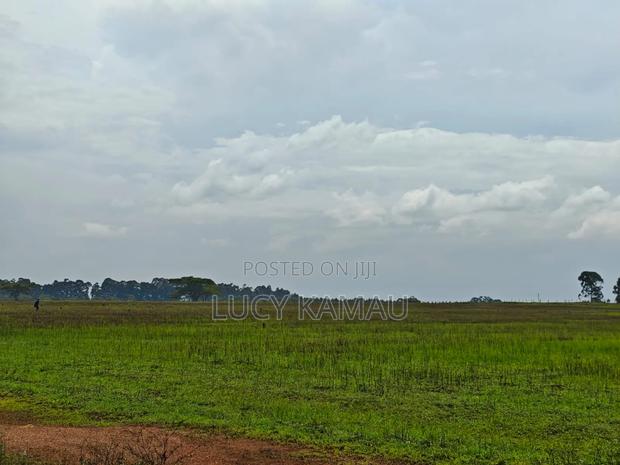 1⁄4 Acre Prime Gated Community Plots in Kitale - thumbnail 5