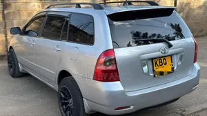 Toyota Corolla Fielder 2007 Silver