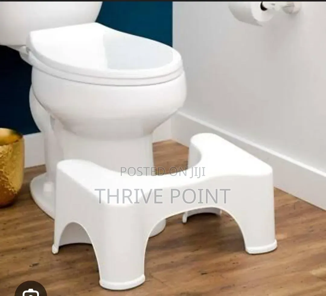 Toilet Squat Step