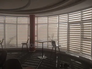 Professional Installation of Horizontal Zebra Roller Window Blinds