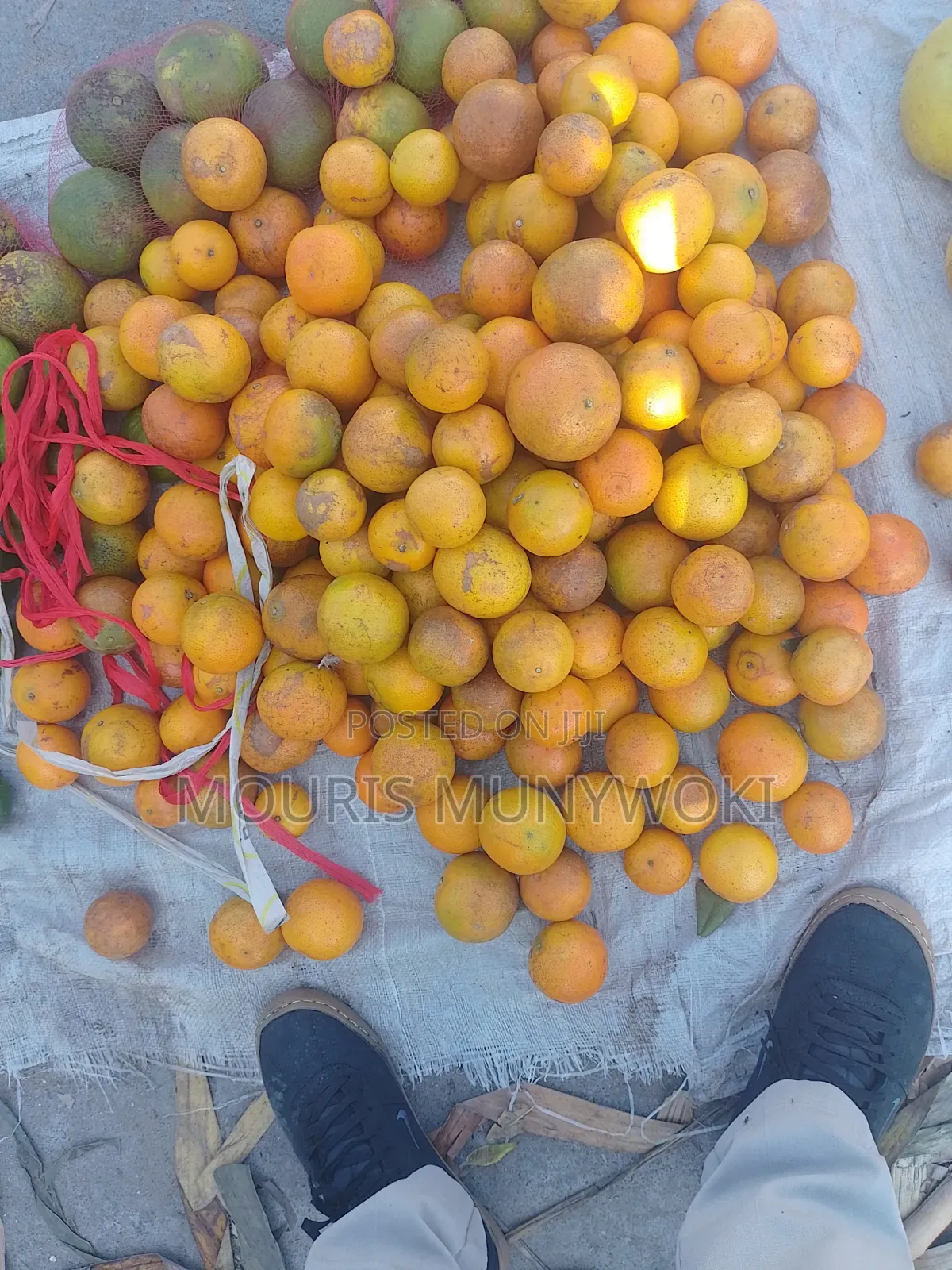 Fresh Pixies and Oranges