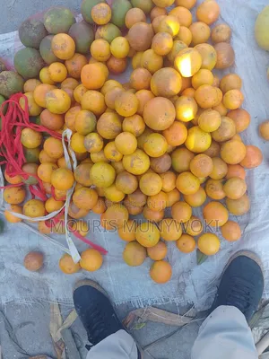 Fresh Pixies and Oranges
