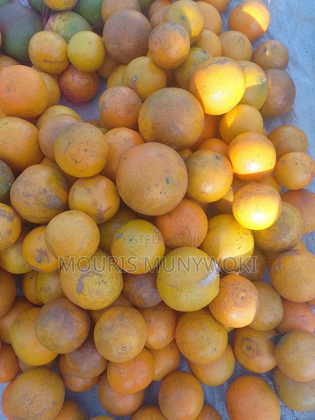Fresh Pixies and Oranges