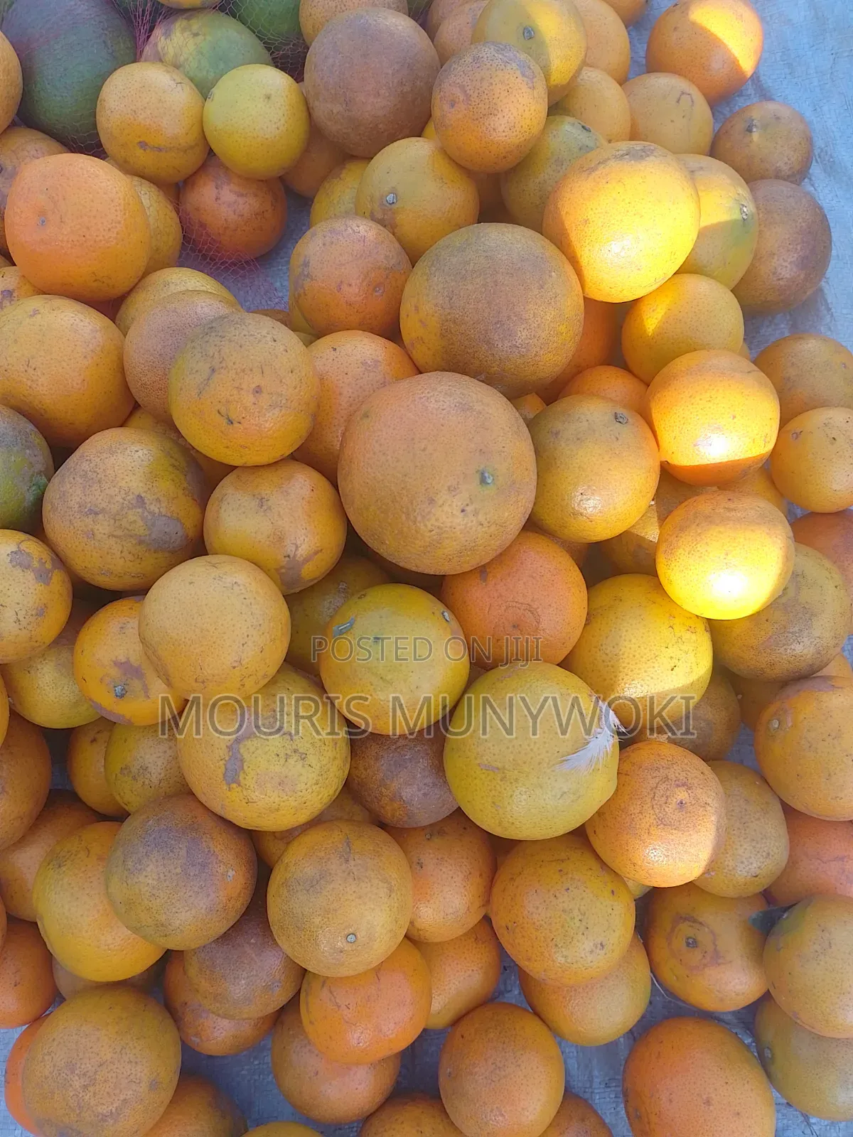Fresh Pixies and Oranges
