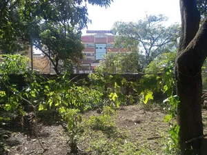 Thika Town 1/4acre Plot for Commercial