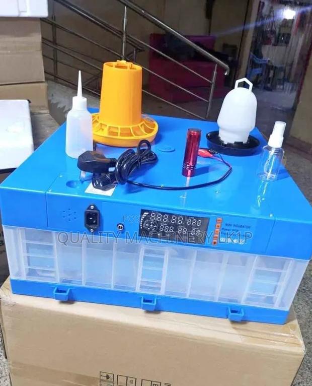Affordable 64 Eggs Incubator