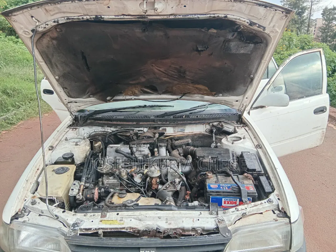 Toyota Corolla 2000 White