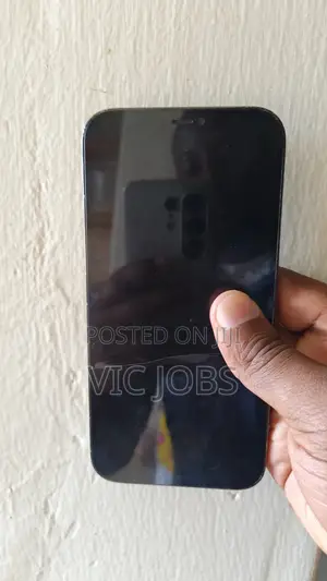 Apple iPhone 12 Pro Max 128 GB Blue