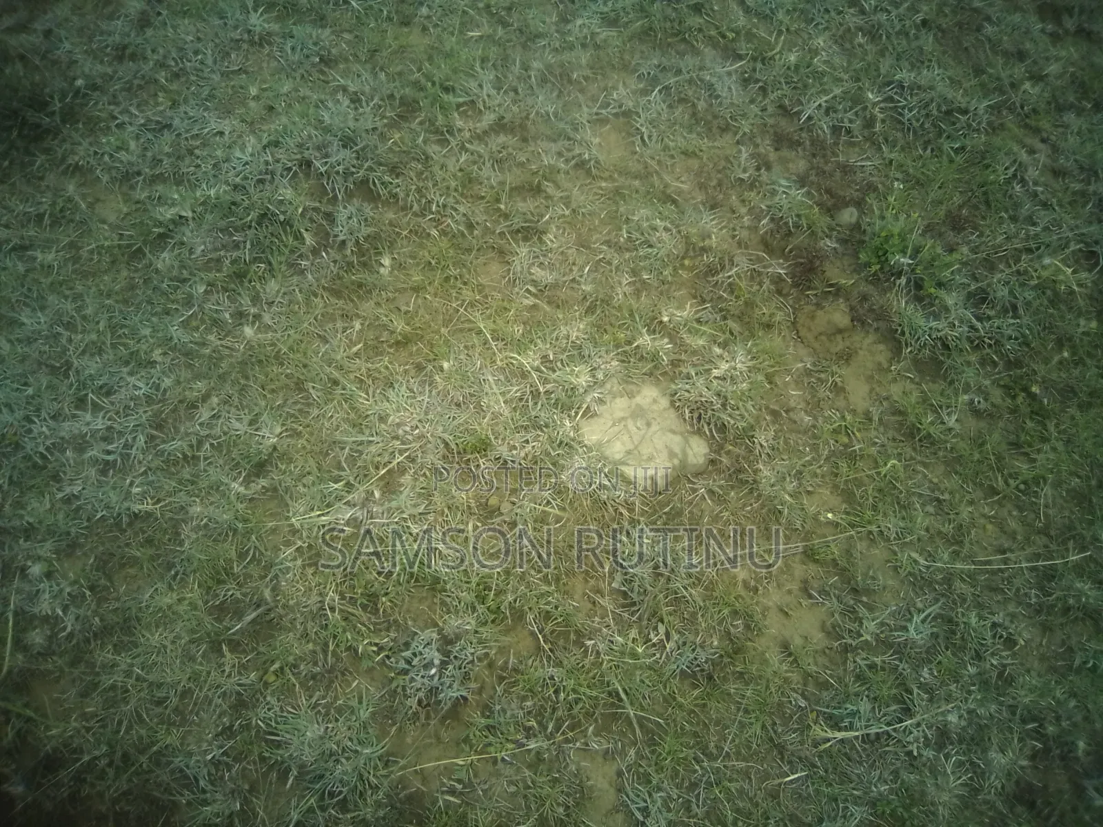 1/2 Acre Naivasha Along Moi South Lake Road