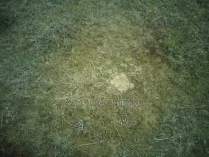 1/2 Acre Naivasha Along Moi South Lake Road