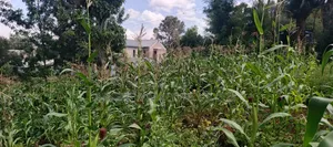Quarter Acre Plot for Sale in Ngong Matasia, Merisho Road