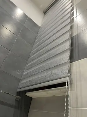 Zebra Roller Blinds for Daylight Privacy Management