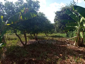Plots for Sale at Kenol