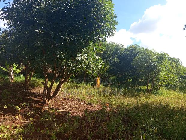 Plots for Sale at Kenol - thumbnail 3