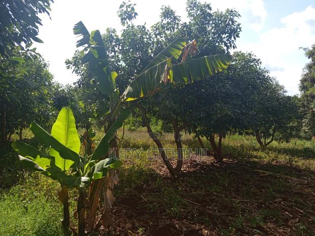 Plots for Sale at Kenol - thumbnail 4