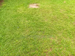 Kanunga Kiambu