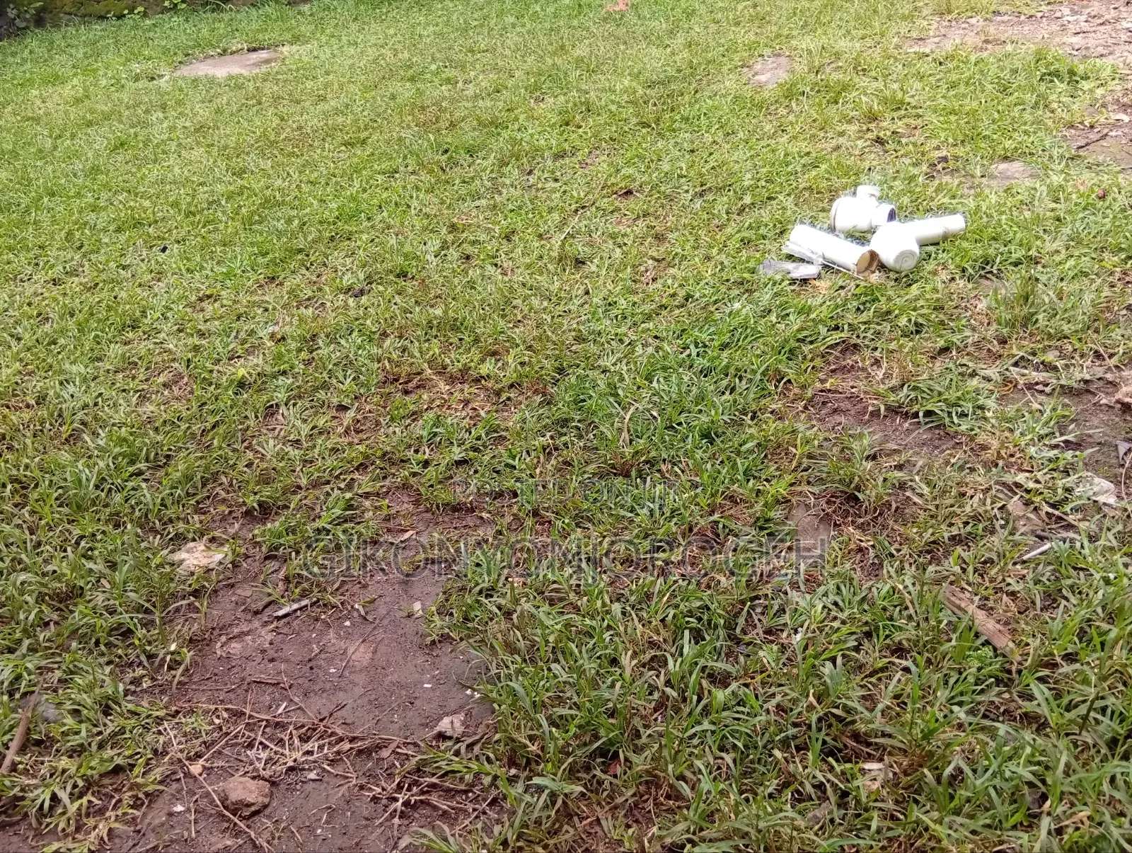 Kanunga Kiambu
