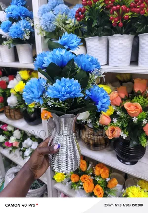 Home Decors