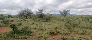 2.75 Acres for Sale in Ngong Kimuka Maroroi.