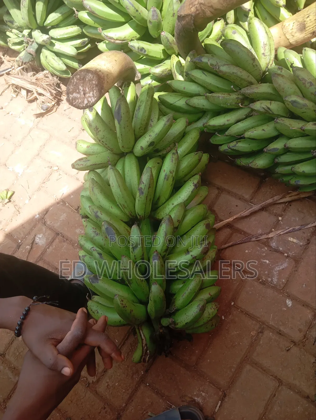 Banana(Green) /Ndizi