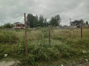 1/4 Plot for Lease