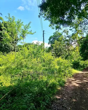 2 Acres Land for Sale in Diani, Mabokoni