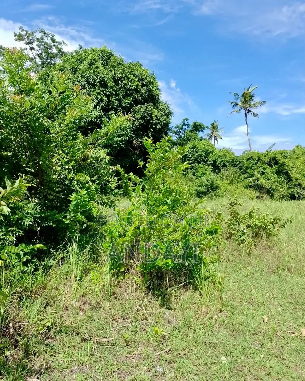2 Acres Land for Sale in Diani, Mabokoni