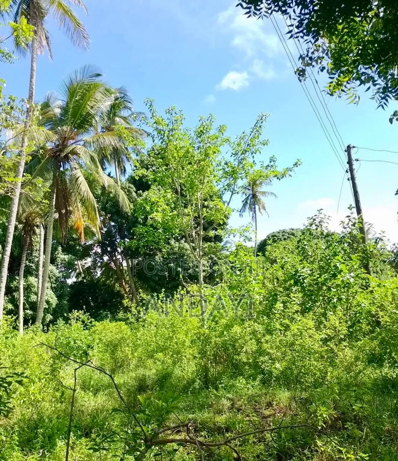 2 Acres Land for Sale in Diani, Mabokoni