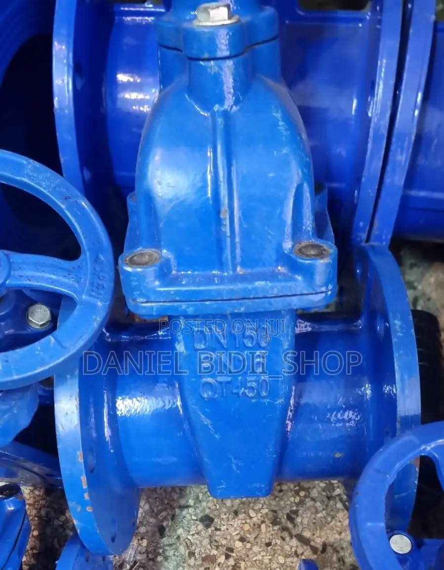 Sluice Valve 6inch Dn150 Pn16